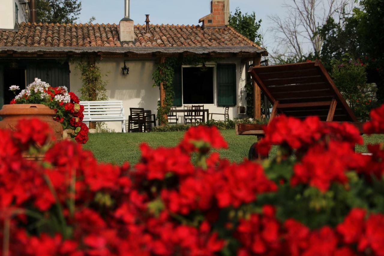 Casa S.Paolo Villa Rimini Exterior foto